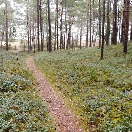 샬레 Atputas Majina 